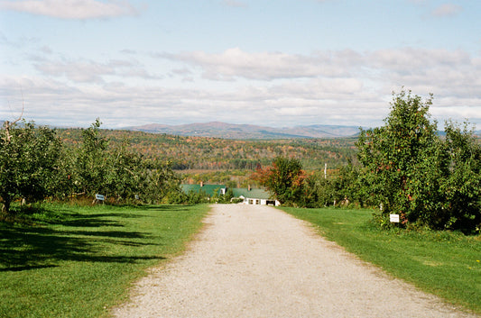 The Best Places to Go Apple Picking in Maine