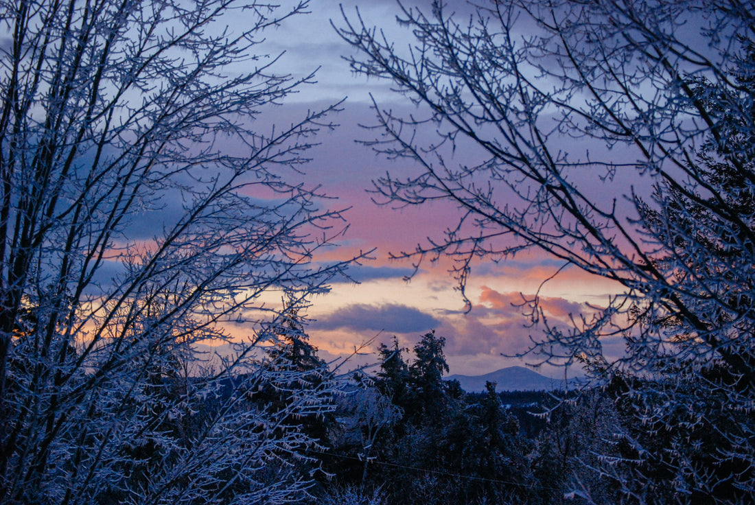 Top 5 Free Outdoor Winter Activities in Maine to Enjoy This Season